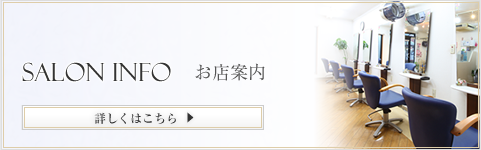お店案内